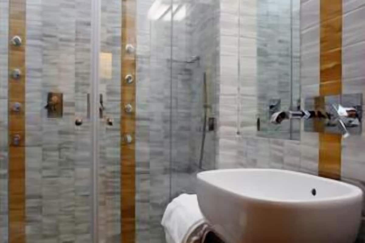 shower, free toiletries, hair dryer, bidet