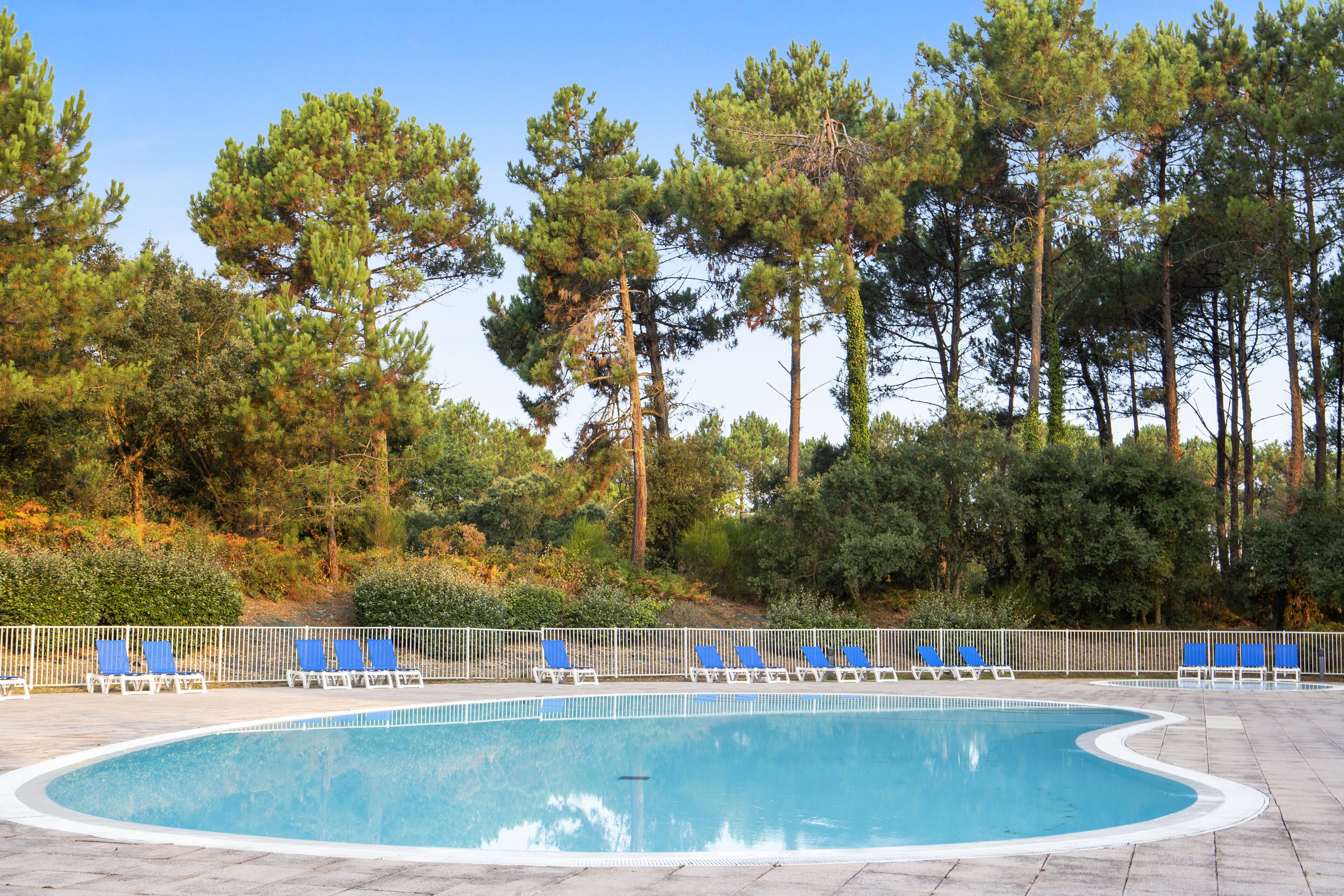 Seasonal outdoor pool, pool umbrellas, pool loungers