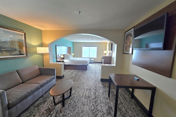 Suite, 1 King Bed, Non Smoking, Refrigerator & Microwave | Living area | TV