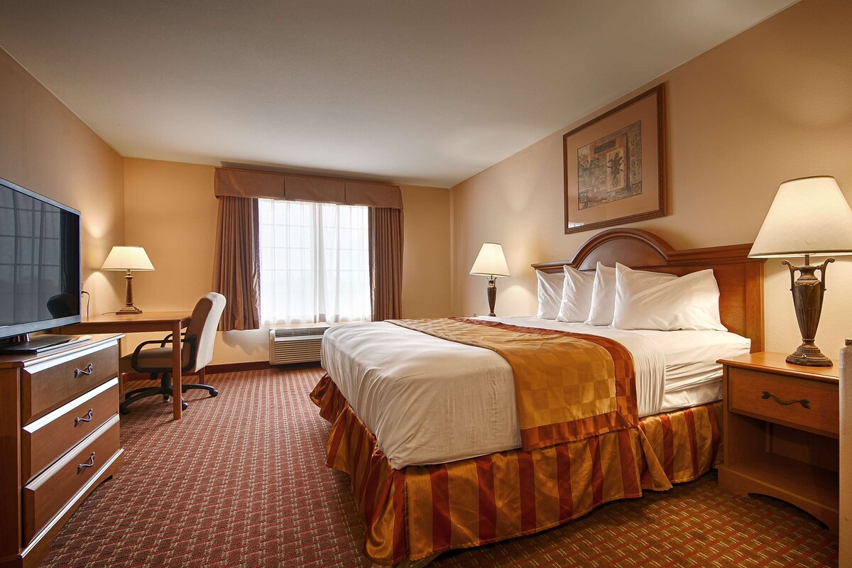 Une chambre d’hôtel avec un lit, un bureau, une chaise, une télévision, des lampes et un tableau au mur.