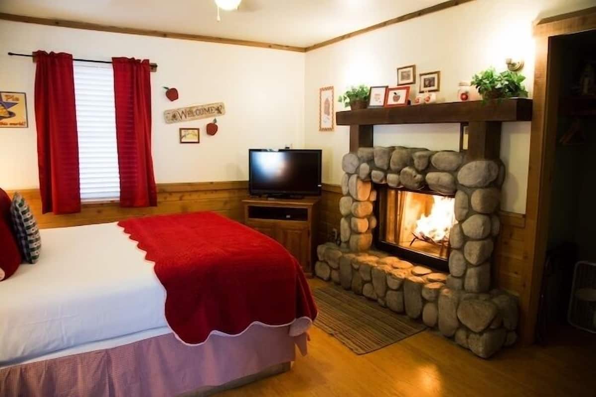 Une pièce chaleureuse avec un lit, une télévision, une cheminée en pierre et un panneau d’accueil.