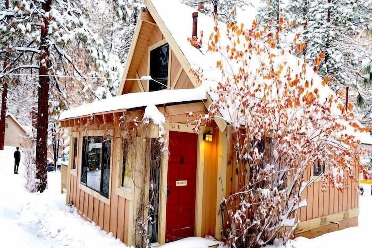 Une cabane en bois avec une porte rouge, entourée d’arbres couverts de neige et d’un arbuste sans feuilles.