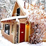 Sleepy Forest Cottages