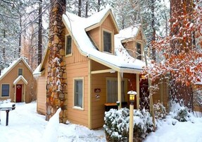Family Cabin, 2 Double Beds with Fireplace | Individually decorated, individually furnished, iron/ironing board