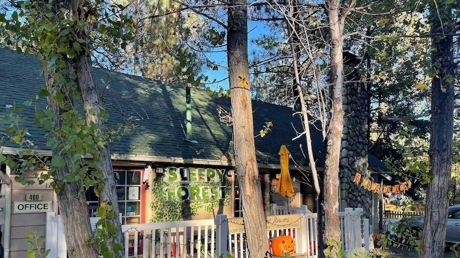 Sleepy Forest Cottages