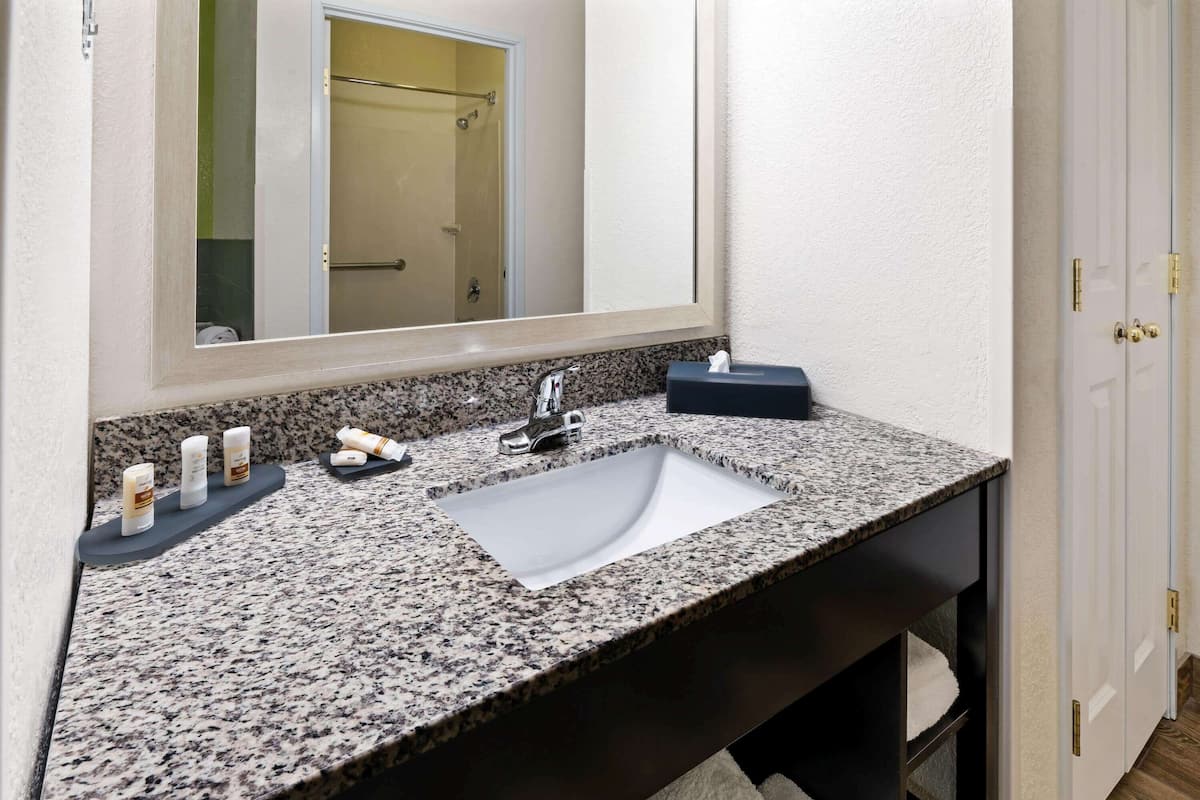 combined shower/bathtub, free toiletries, hair dryer, towels