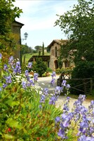 Jardín
