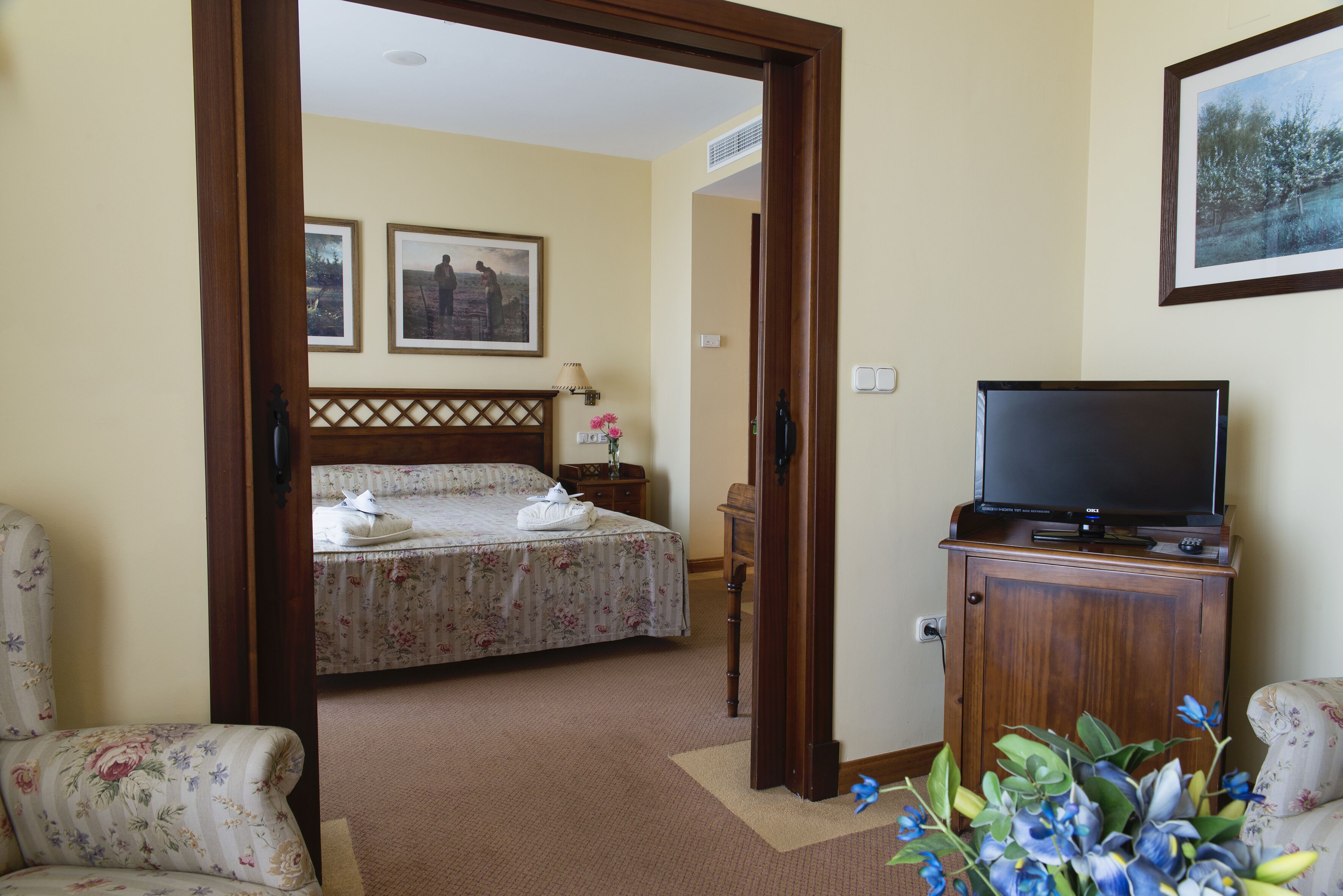 Una habitación de hotel con cama, televisor, escritorio y una silla.