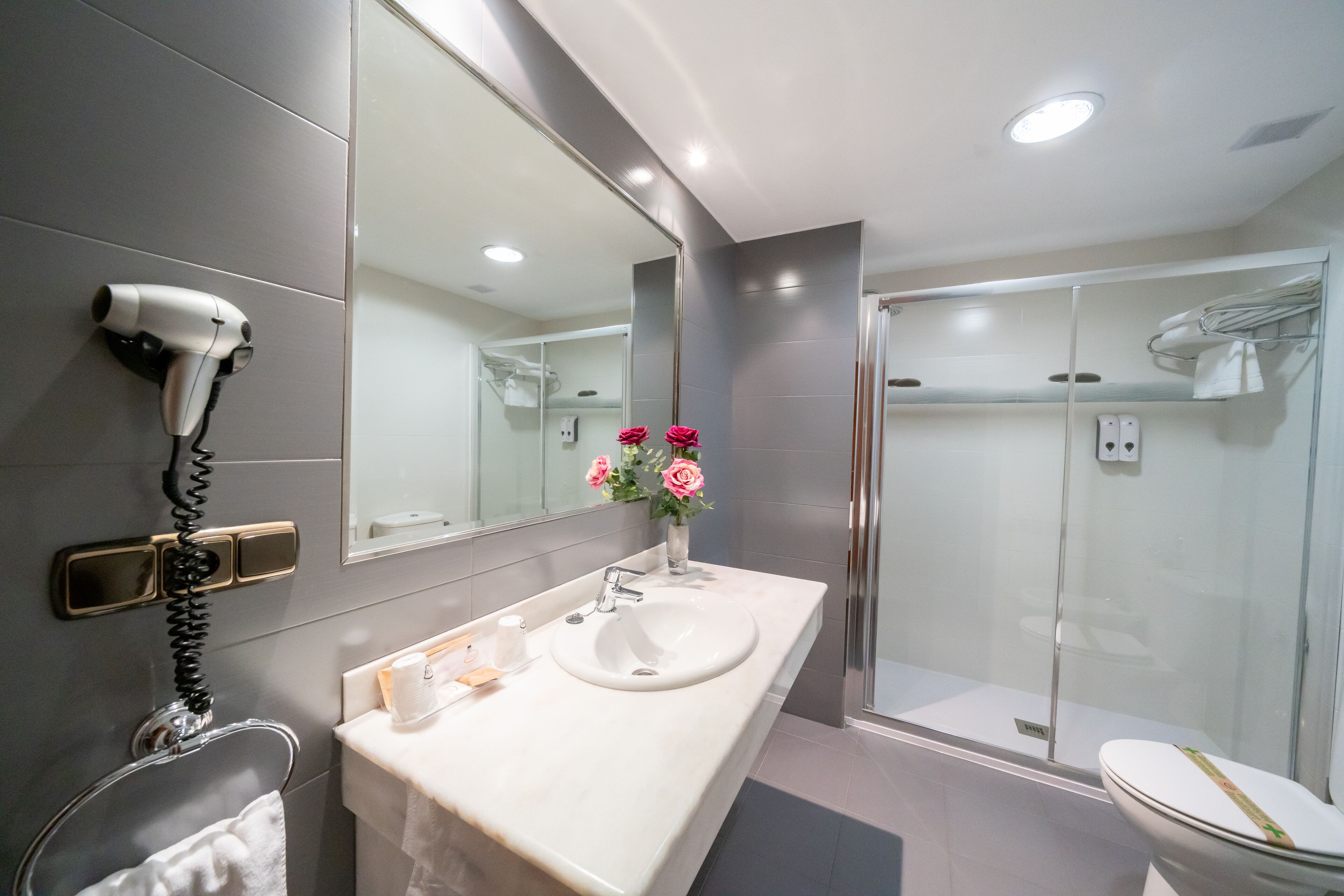 superior room | bathroom | hair dryer, towels