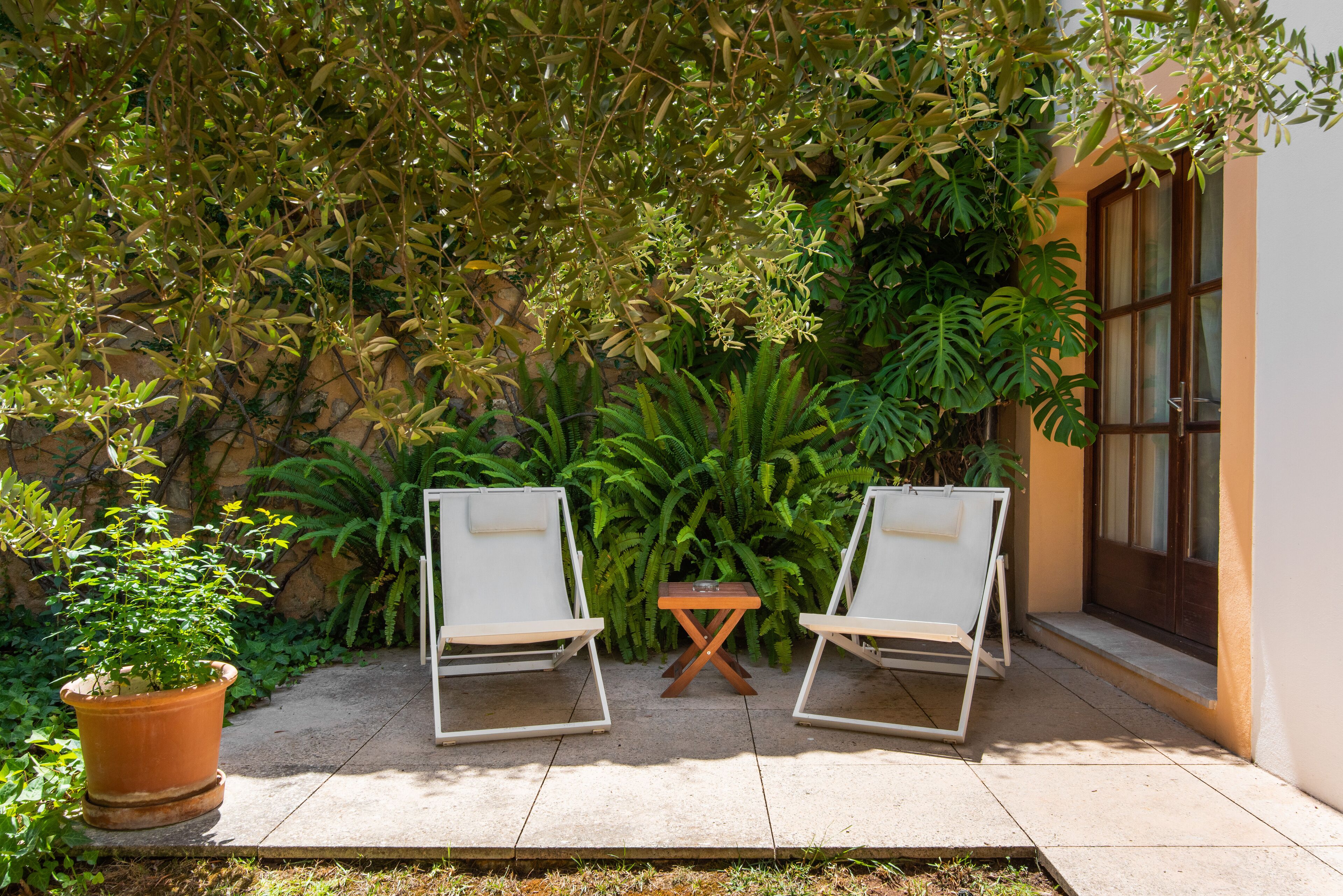 Dos sillones blancos con una pequeña mesa de madera entre ellos, ubicados en un patio con baldosas y un exuberante fondo verde de diversas plantas y un edificio con ventana.