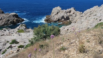 A rocky coastal landscape with clear blue sea and sparse vegetation.