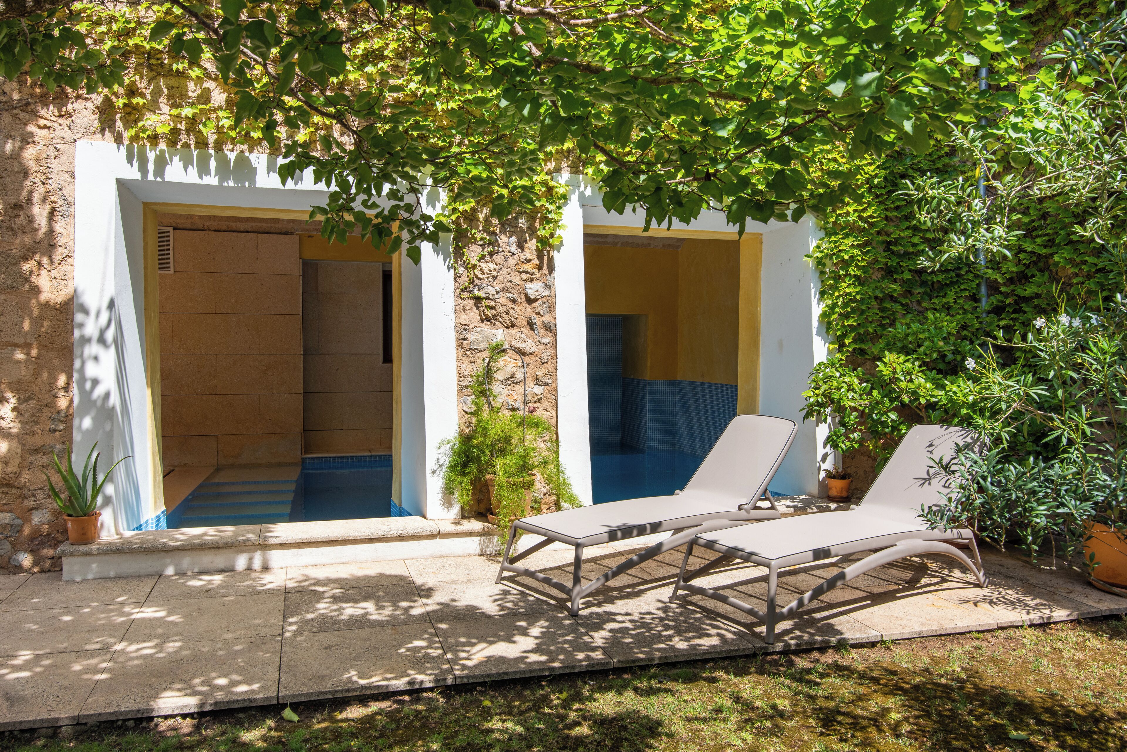 Un espace piscine comprenant deux chaises longues et une petite plante en pot.