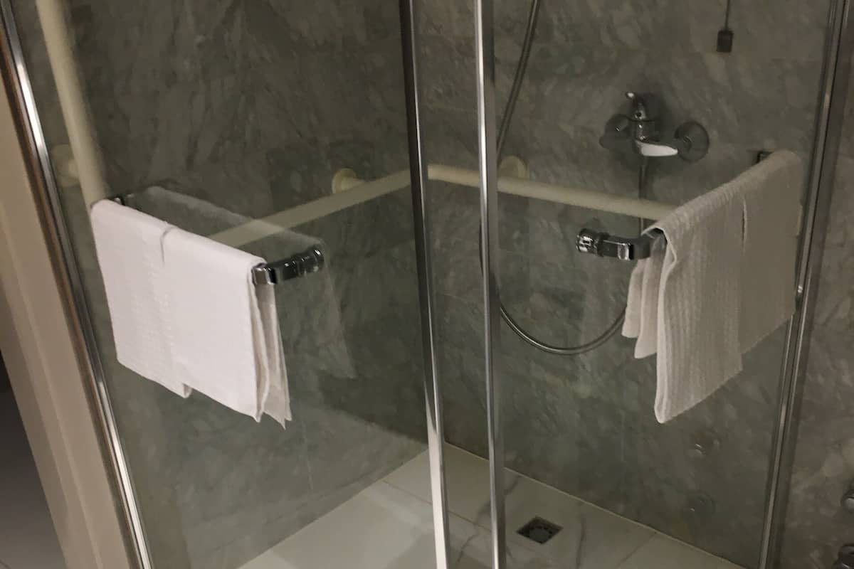 shower, free toiletries, hair dryer, bidet