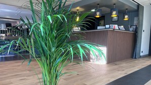 A reception area with a potted plant, wooden flooring, and a counter with a computer and framed pictures.