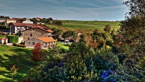 Aerial view - Palación de Toñanes (Alfoz de Lloredo)