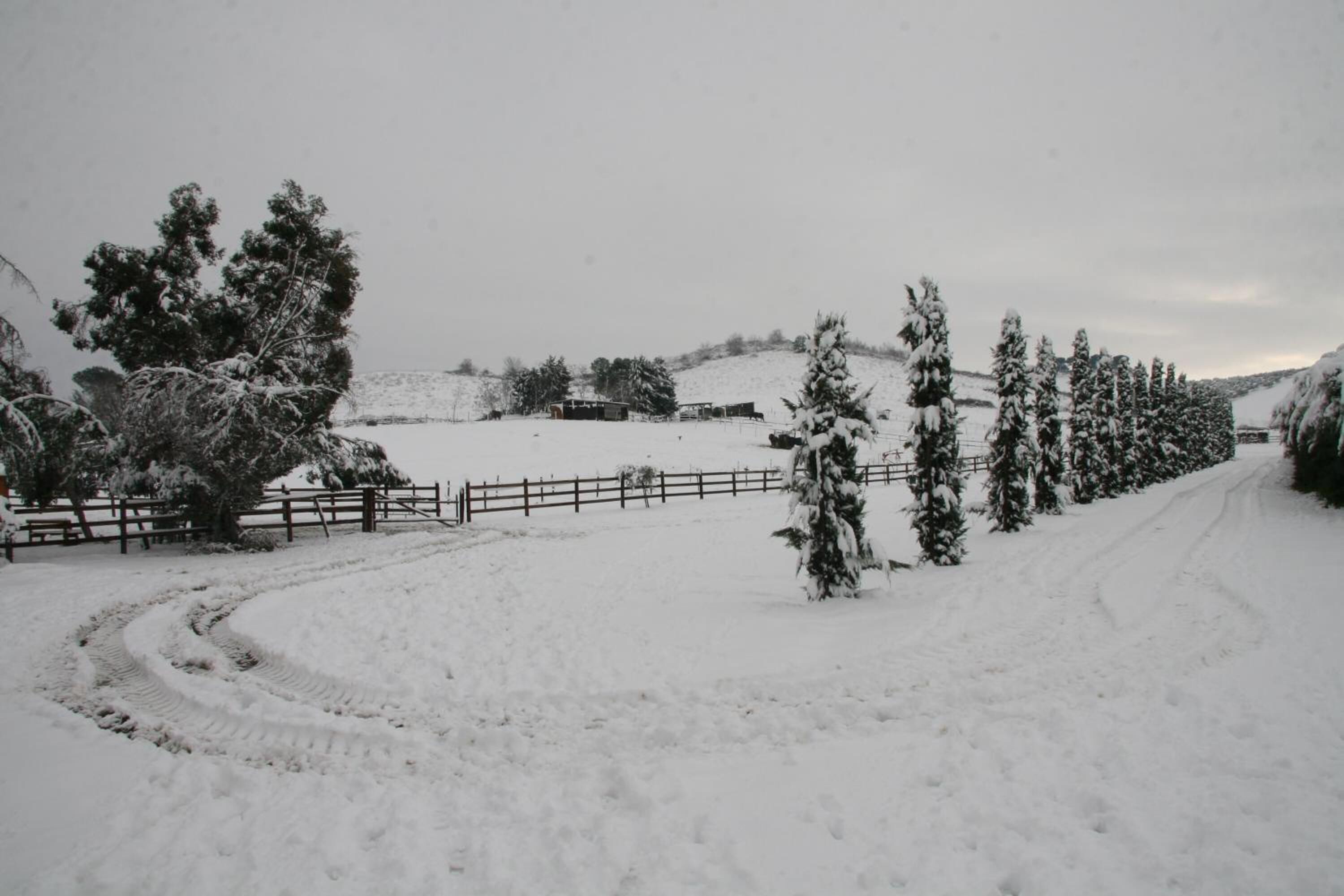 A snow-covered landscape with a wooden fence, trees, and a path.