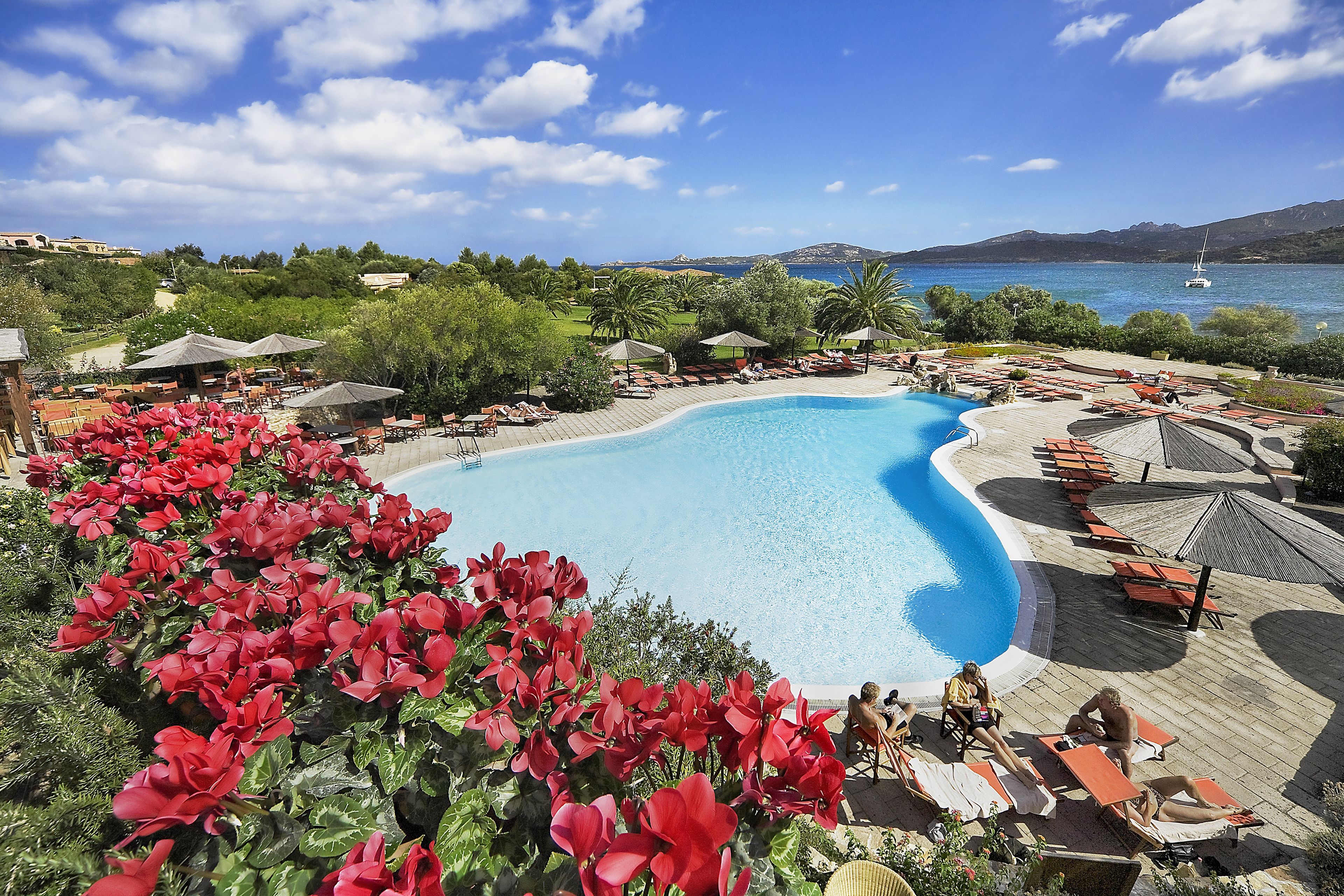 Seasonal outdoor pool, pool loungers