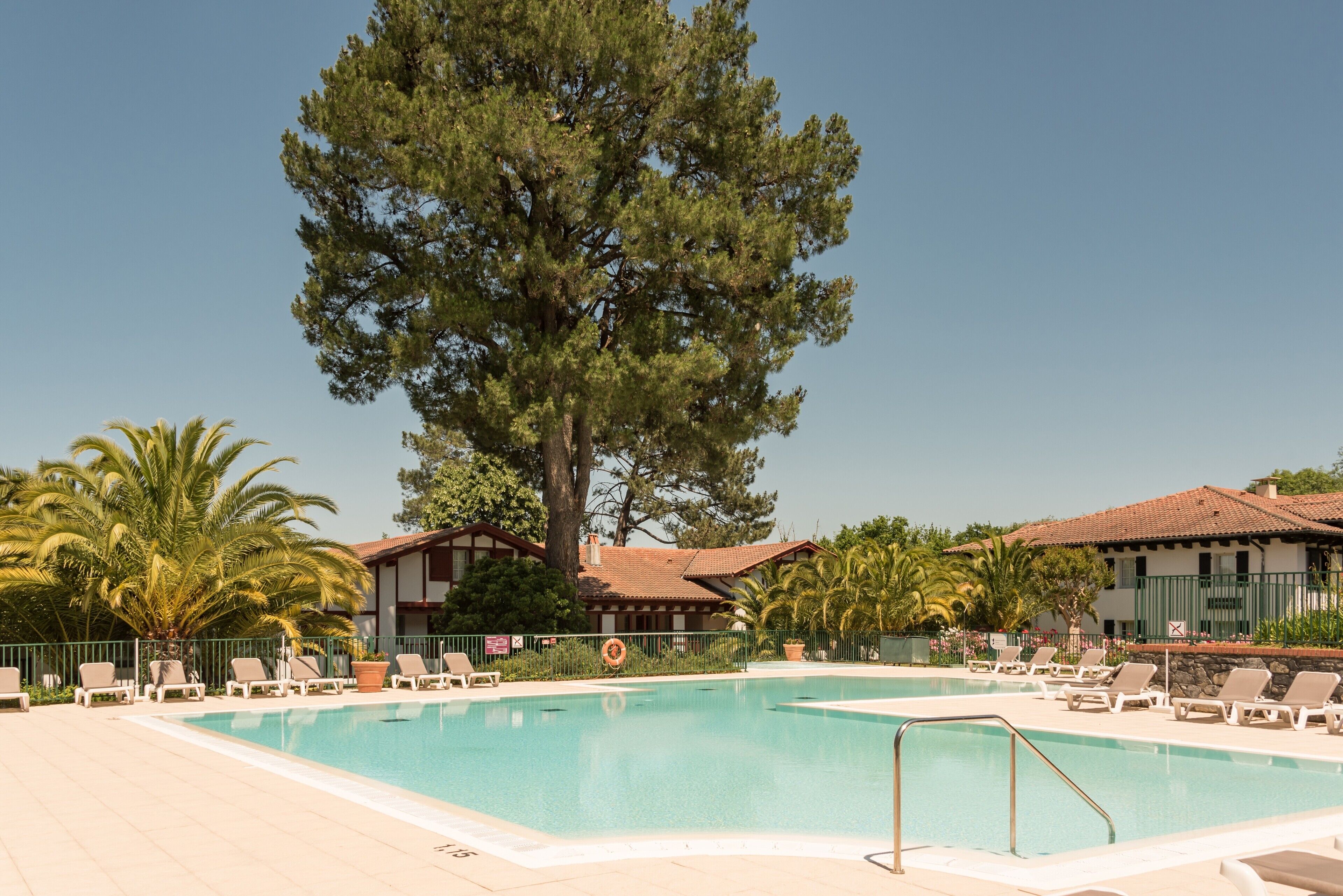 Una piscina con sillas de descanso, un árbol grande y un edificio con techo de tejas.
