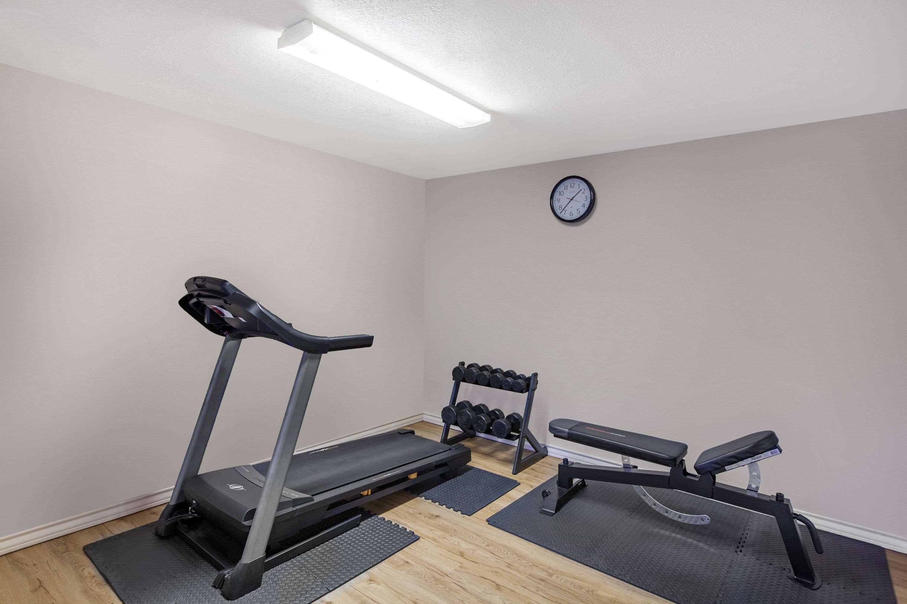 A small, well-lit room with a treadmill, bench, and dumbbells.