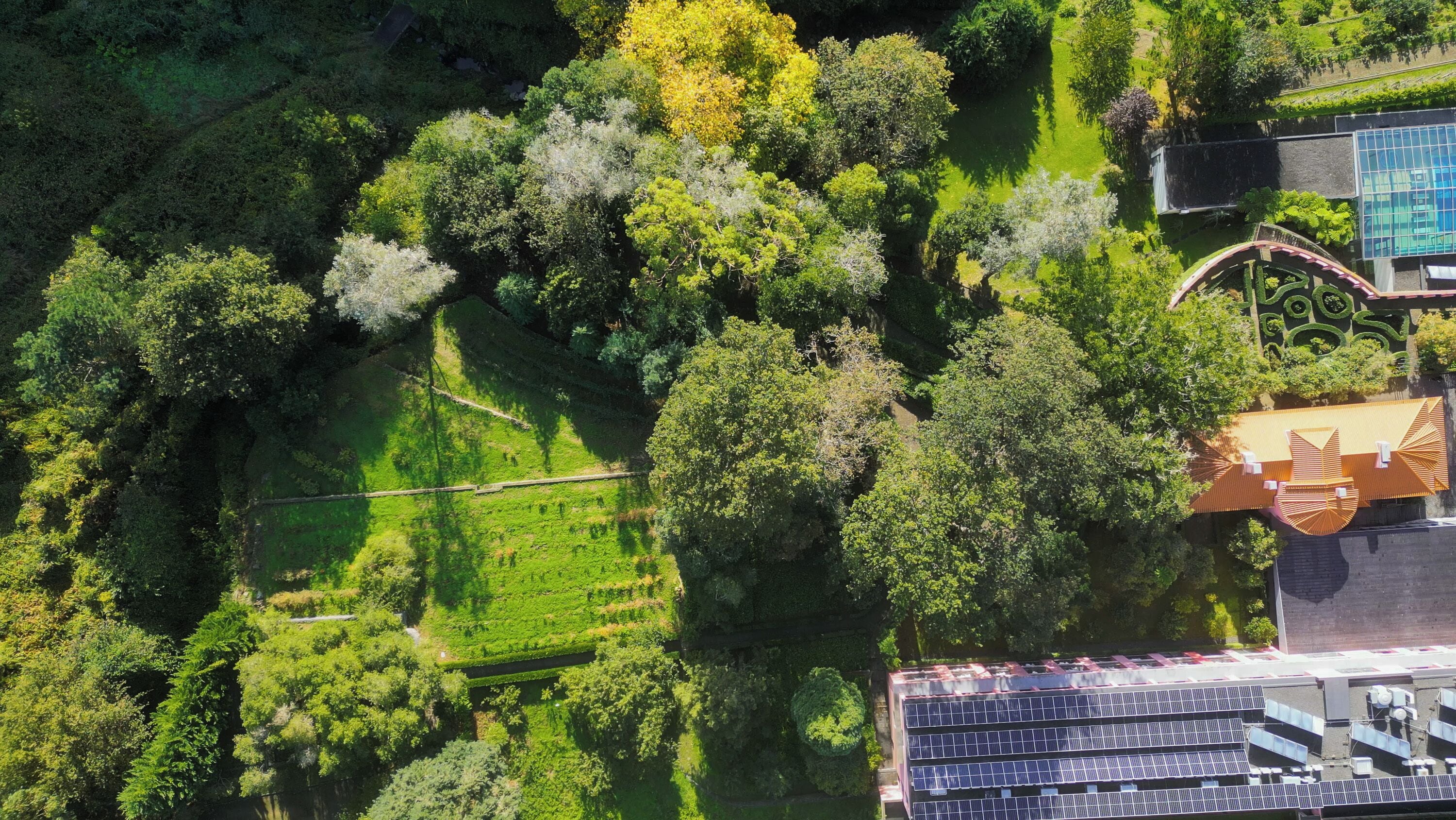 An aerial view of a park with dense greenery, a small pond, and a building with solar panels.