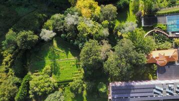 An aerial view of a park with dense greenery, a small pond, and a building with solar panels.
