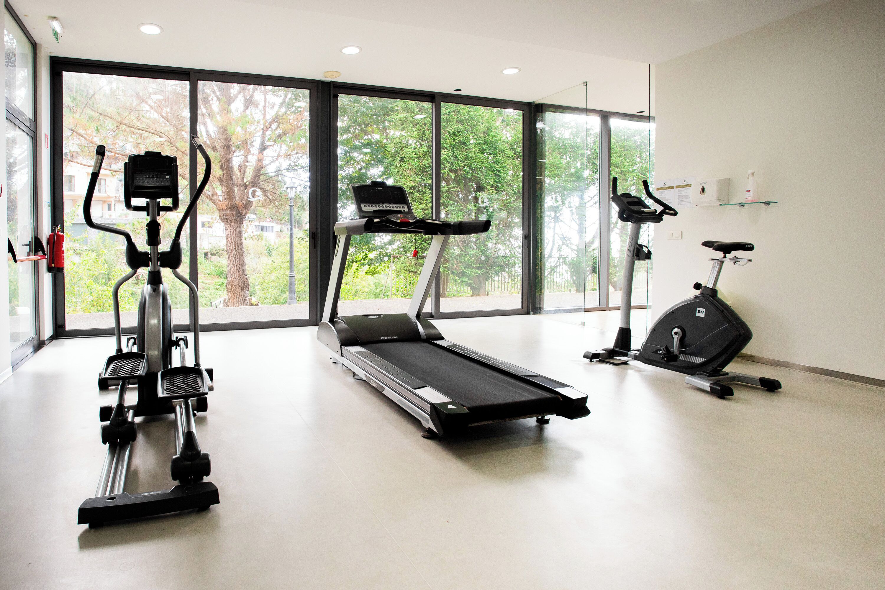 Gimnasio