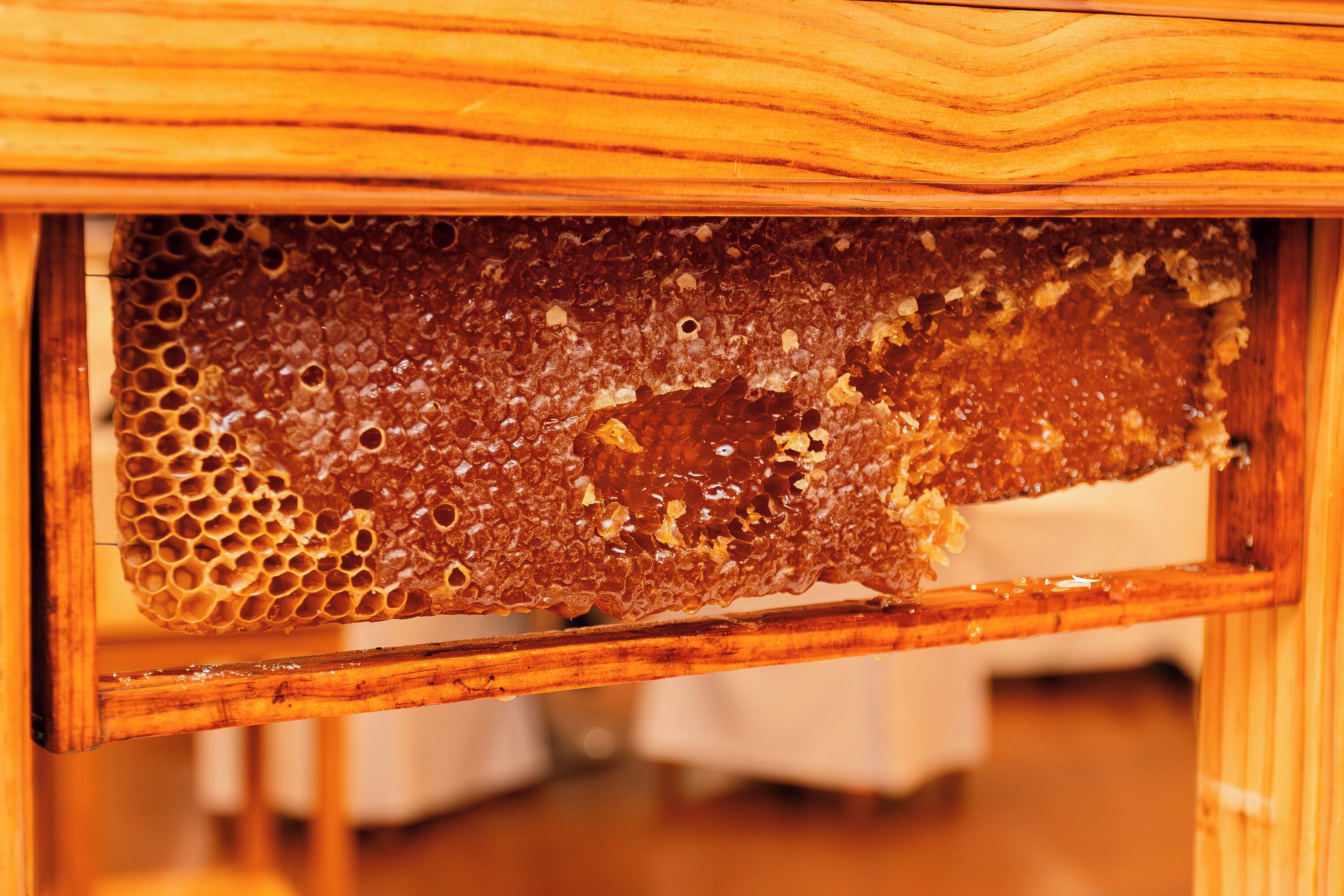 A wooden beehive frame with honeycomb cells and honeycomb cells with honeycomb cells with honeycomb cells with honeycomb cells with honeycomb cells with honeycomb cells with honeycomb cells with honeycomb cells with honeycomb cells with honeycomb cells with honeycomb cells with honeycomb cells with honeycomb cells with honeycomb cells with honeycomb cells with honeycomb cells with honeycomb cells with honeycomb cells with honeycomb cells with honeycomb cells with honeycomb cells with honeycomb cells with honeycomb cells with honeycomb cells with honeycomb cells with honeycomb cells with honeycomb cells with honeycomb cells with honeycomb cells with honeycomb cells with honeycomb cells with honeycomb cells with honeycomb cells with honeycomb cells with honeycomb cells with honeycomb cells with honeycomb cells with honeycomb cells with honeycomb cells with honeycomb cells with honeycomb cells with honeycomb cells with honeycomb cells with honeycomb cells with honeycomb cells with honeycomb cells with honeycomb