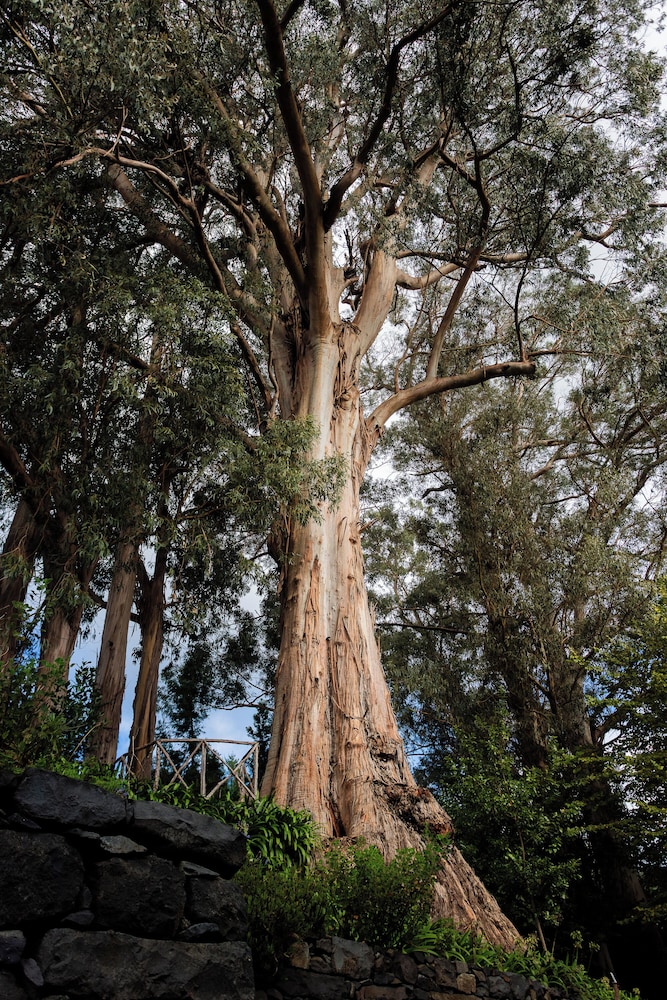 Hotel Quinta da Serra by null
