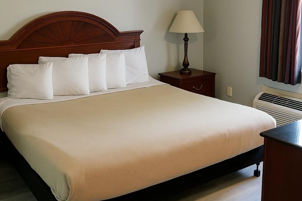 Quarto de hotel com uma cama grande, uma mesa de cabeceira com abajur e uma janela com cortinas.