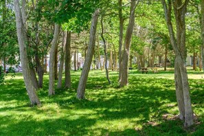 Terrain de lâhĂ©bergement