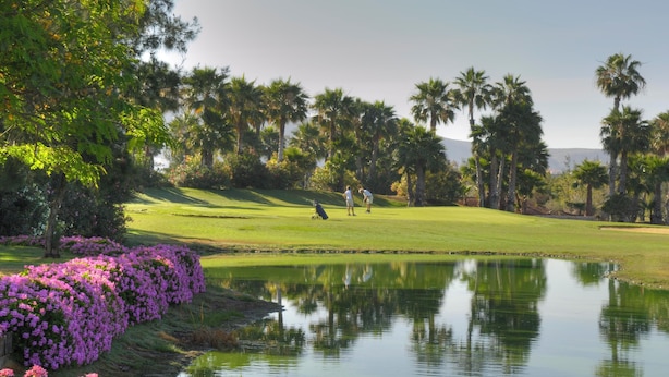 Un parcours de golf agrémenté d’un étang, de palmiers et de fleurs violettes.