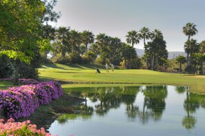 Un parcours de golf agrémenté d’un étang, de palmiers et de fleurs violettes.