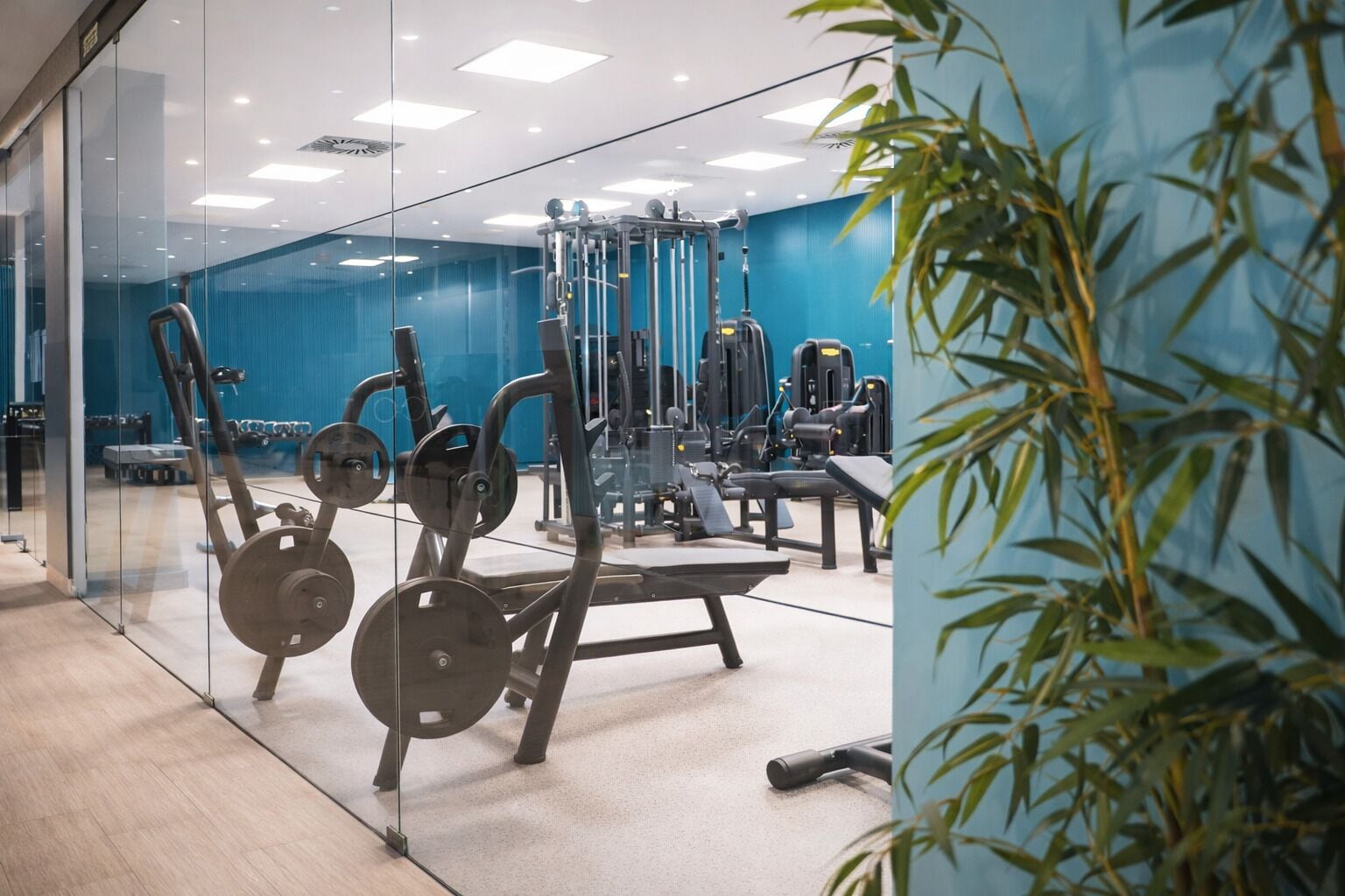 Een moderne sportschool met trainingsapparatuur, glazen wanden en een blauwe muur.