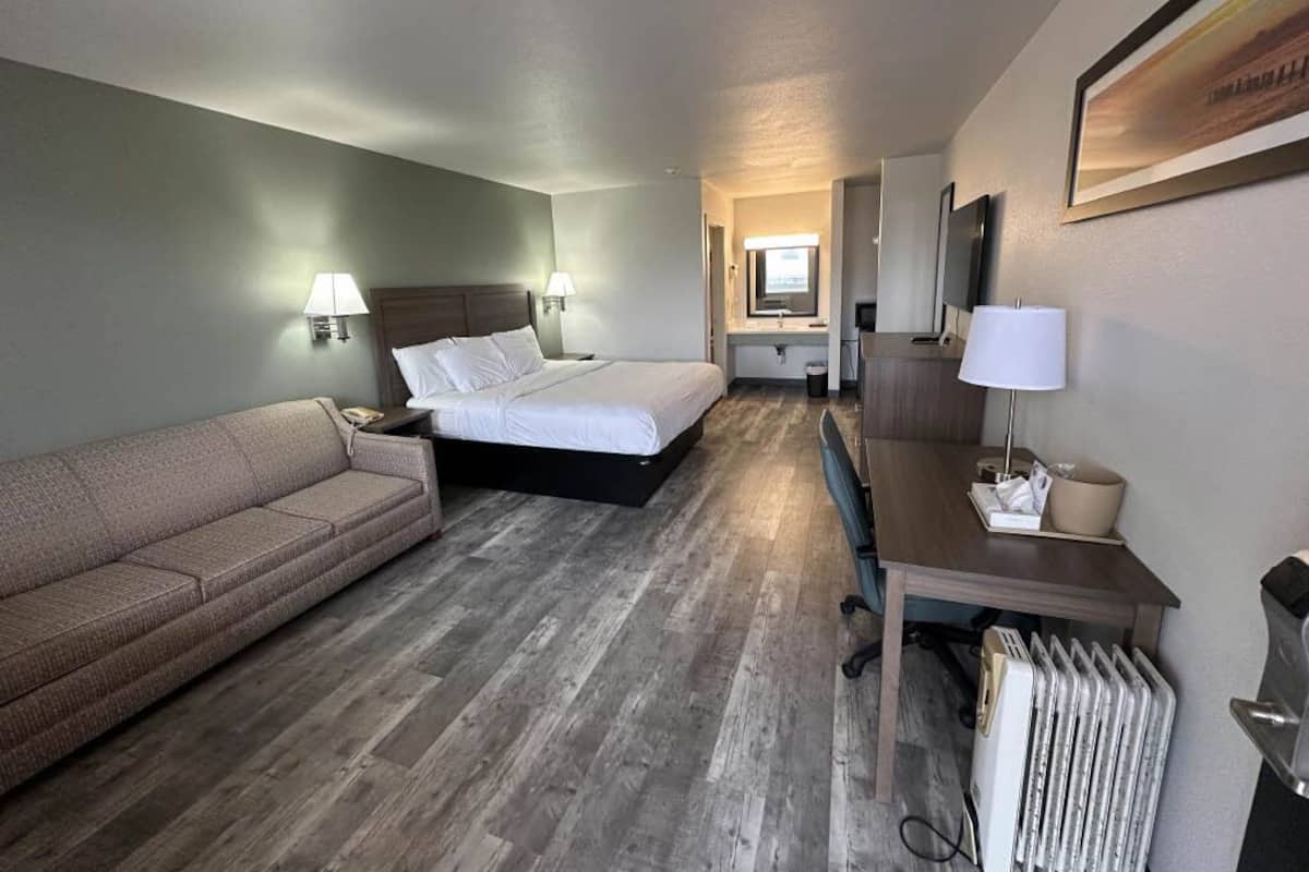 Une chambre d’hôtel avec un lit, un canapé, un bureau et un radiateur.