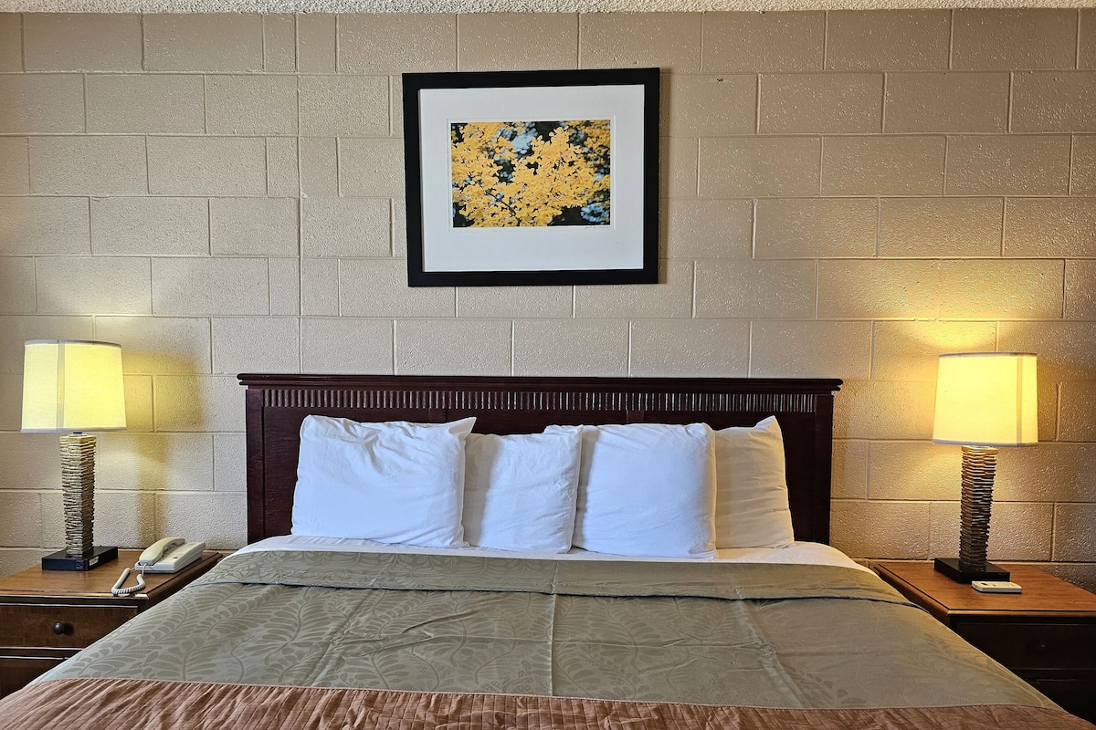 Habitación de hotel con una cama grande, dos lámparas de noche, una obra de arte enmarcada en la pared y un teléfono en la mesita de noche.