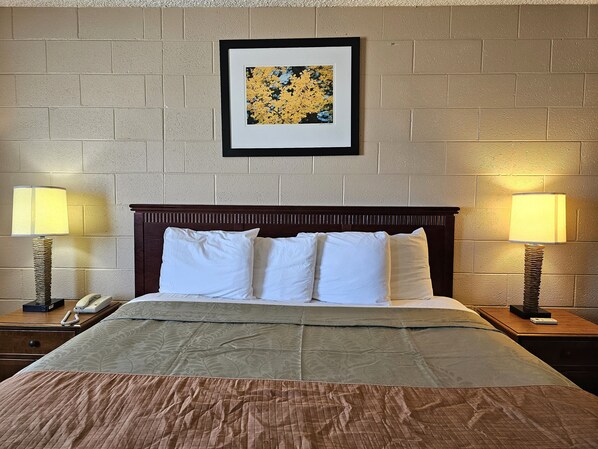 Standaard kamer, 1 kingsize bed | Een bureau, een laptopwerkplek, verduisterende gordijnen