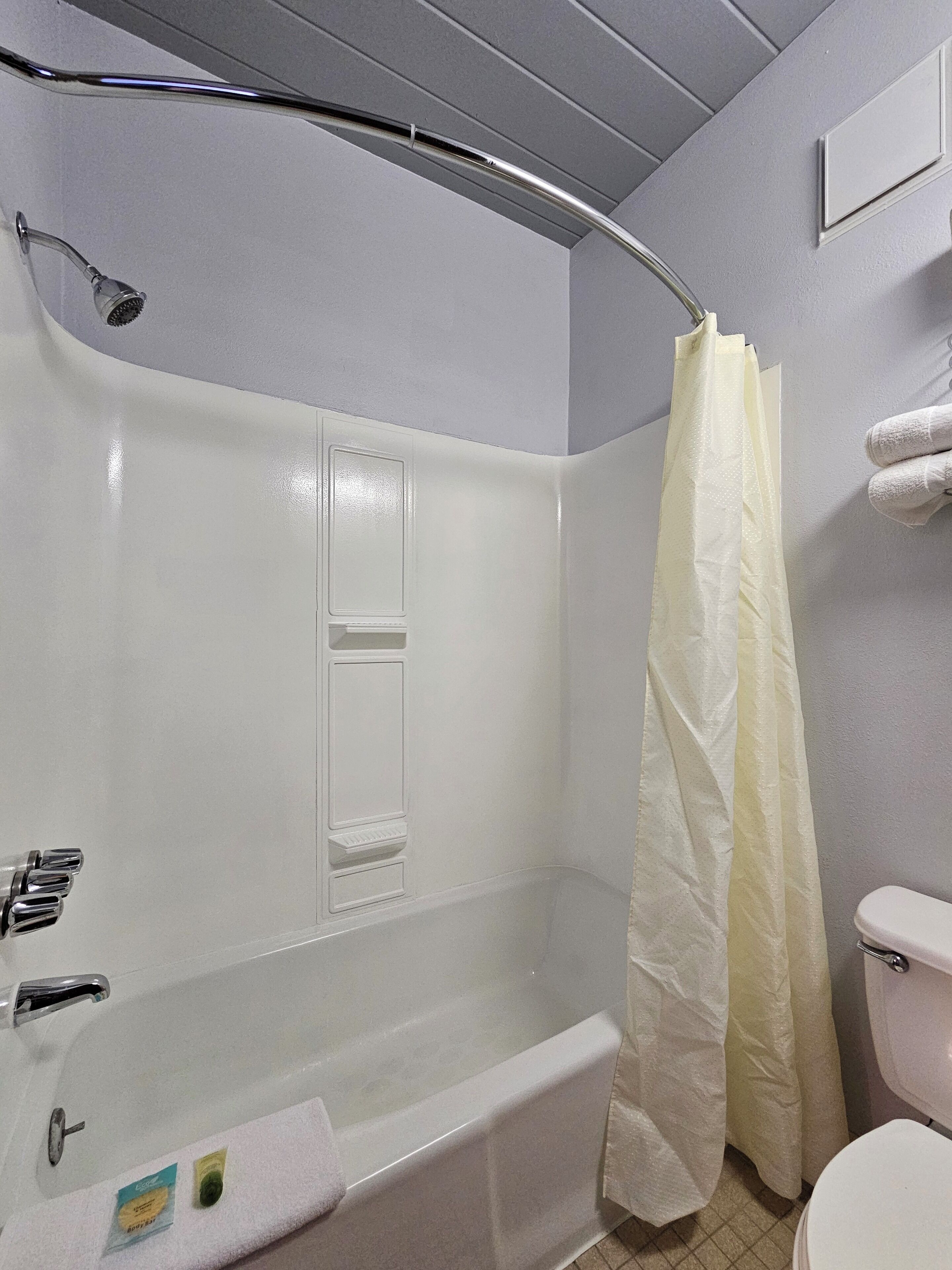 Une salle de bain équipée d’une baignoire, d’une douche, de toilettes et d’un porte-serviettes.