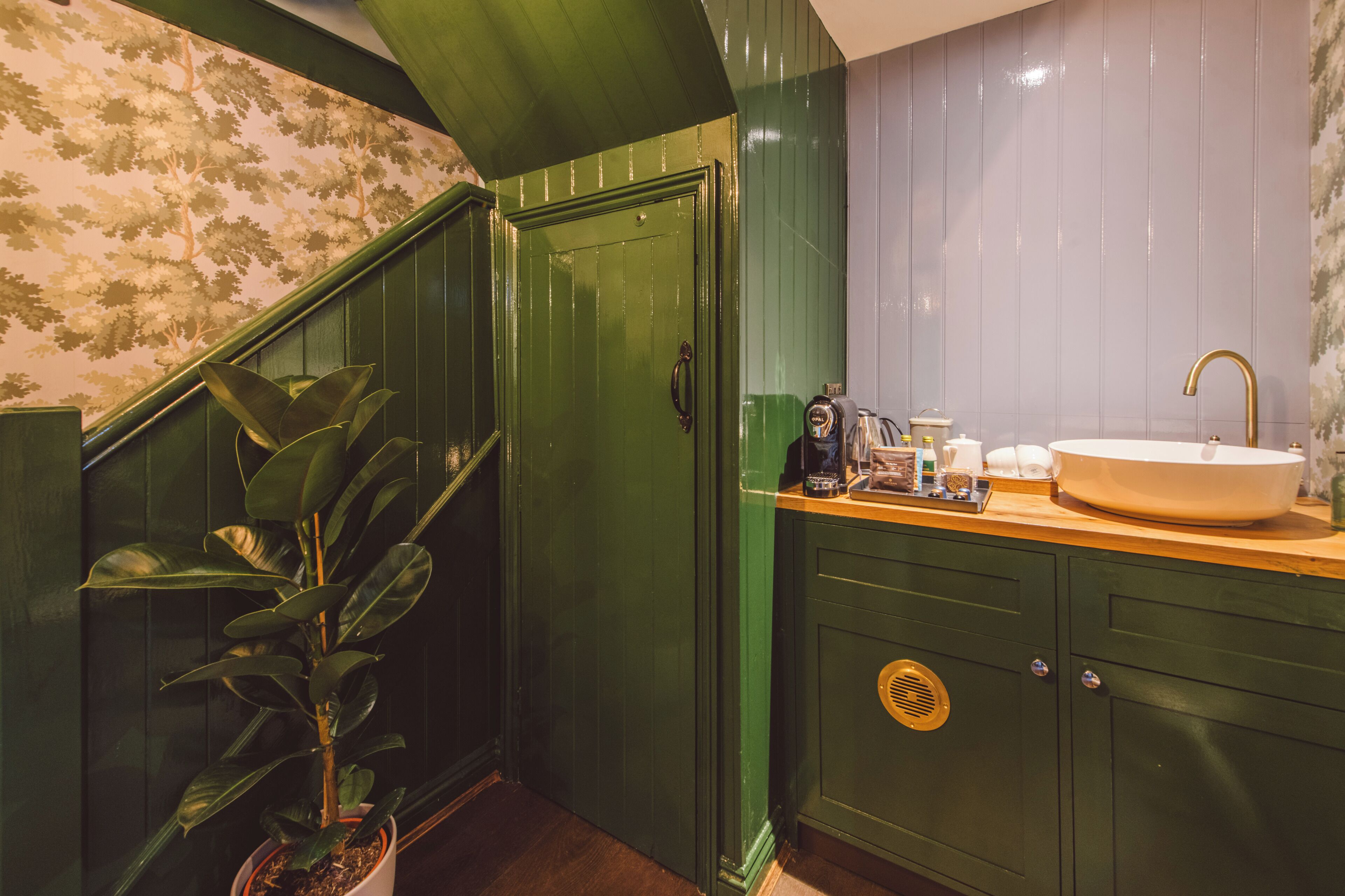 A bathroom with a green door, a sink with a gold faucet, and a potted plant.