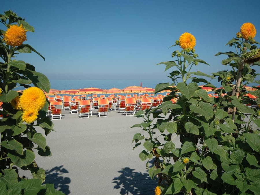 Private beach nearby, sun loungers, beach umbrellas
