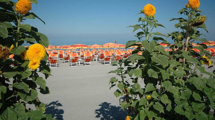 Mediterraneo Palace Hotel