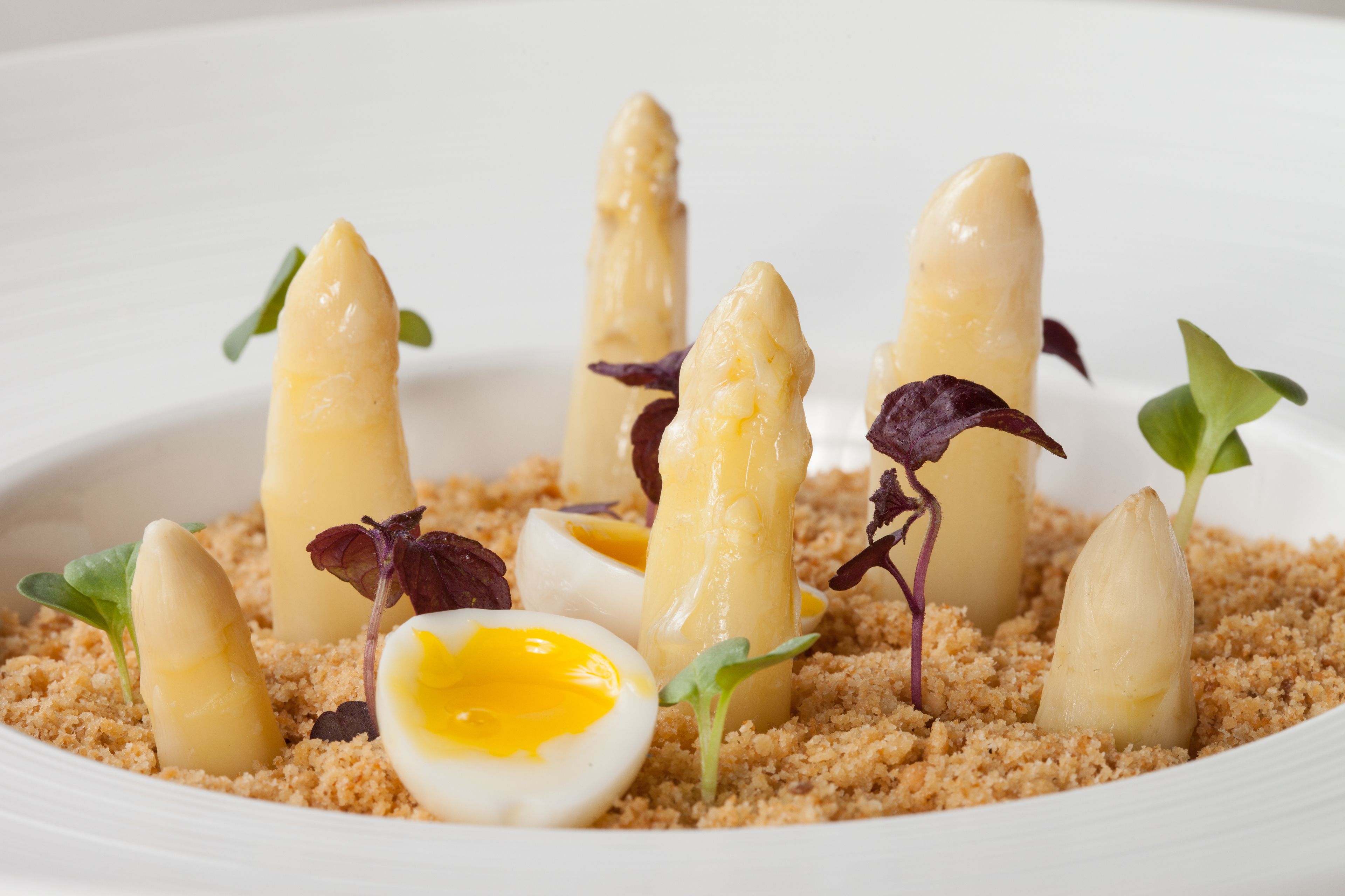 A dish with asparagus, egg, and greens on a crumbly base.