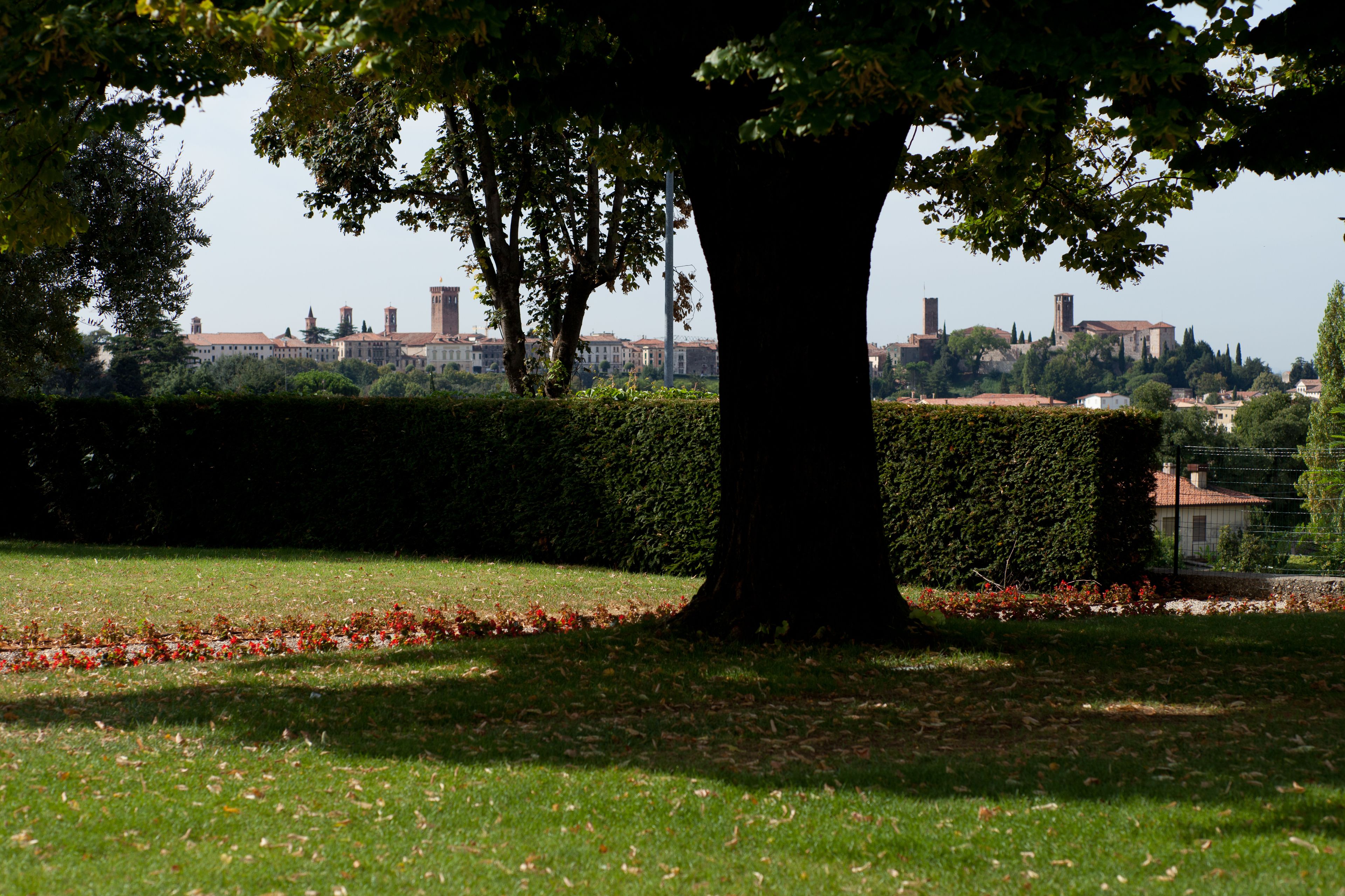 Ein von Bäumen gesäumter Park mit einer Hecke und Rasen, im Hintergrund sind Gebäude erkennbar.