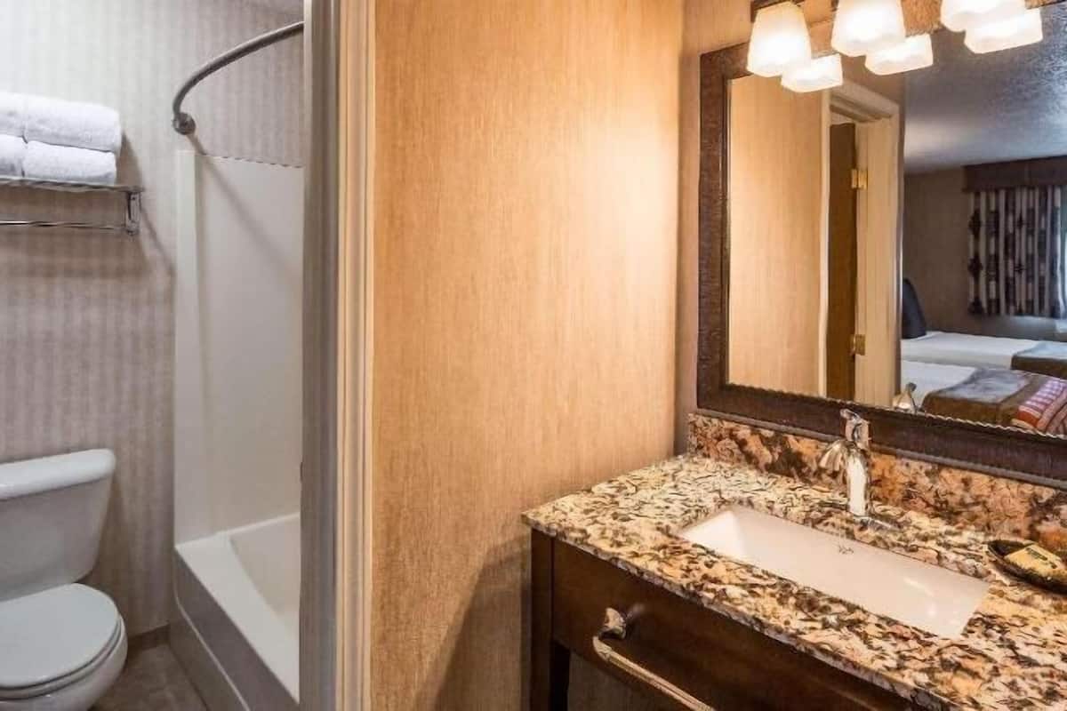 Bathroom | Combined shower/tub, free toiletries, hair dryer, towels