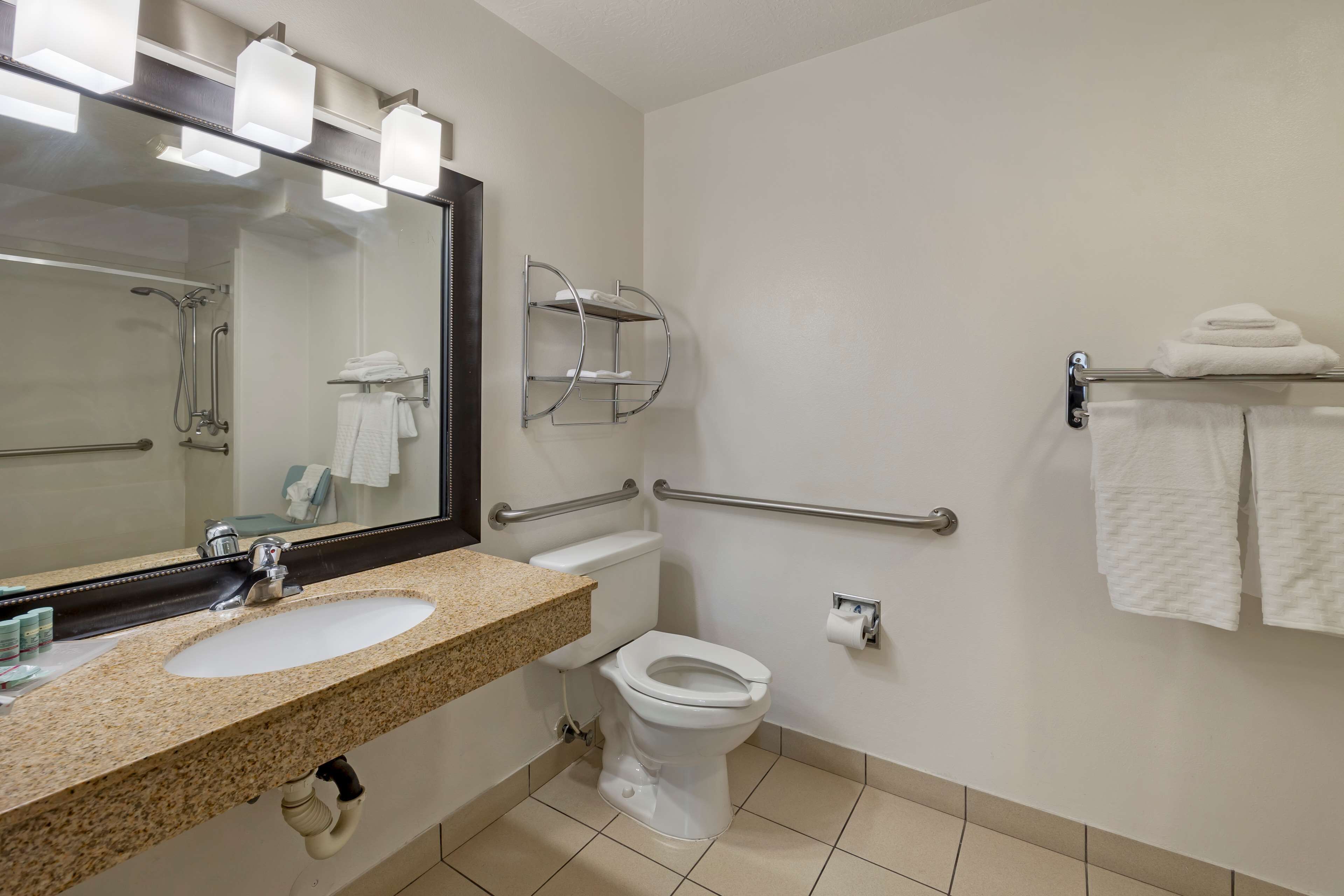 Ein Badezimmer mit Waschbecken, Toilette und Haltegriffen.