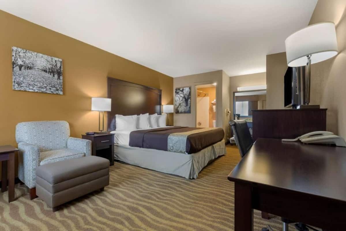 Quarto de hotel com cama, escrivaninha, cadeira, abajur e um quadro na parede.