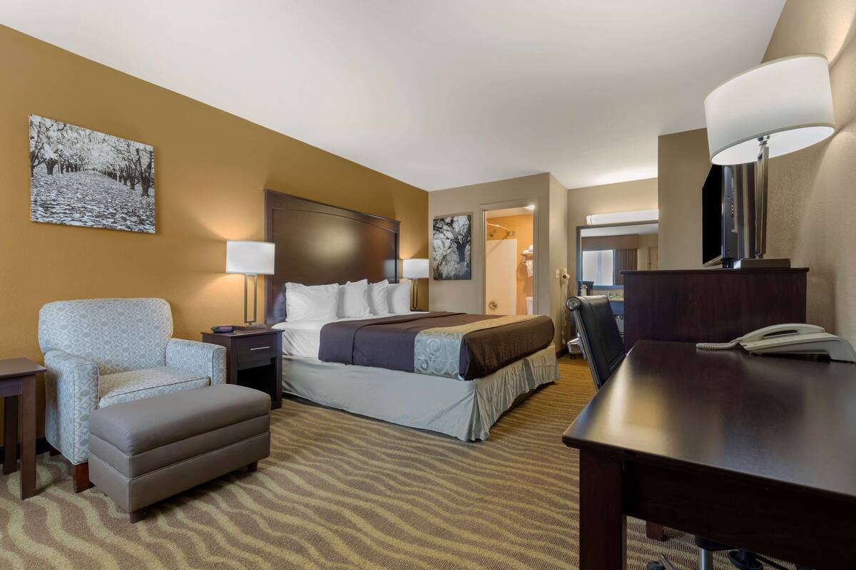 Quarto de hotel com cama, poltrona, escrivaninha, luminária e um quadro na parede.