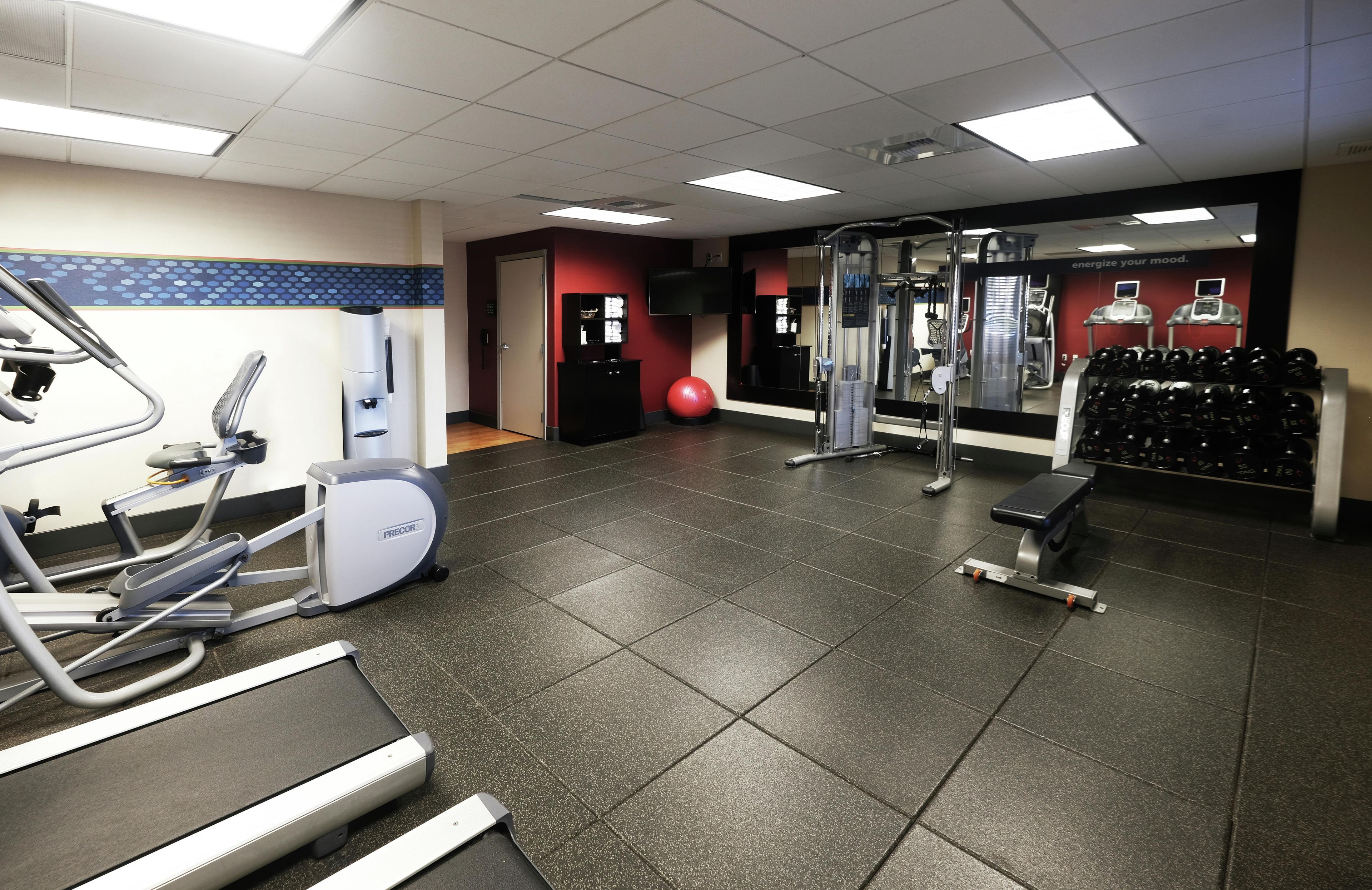 A gym with treadmills, a stationary bike, a red exercise ball, a weight machine, and a rack of dumbbells.