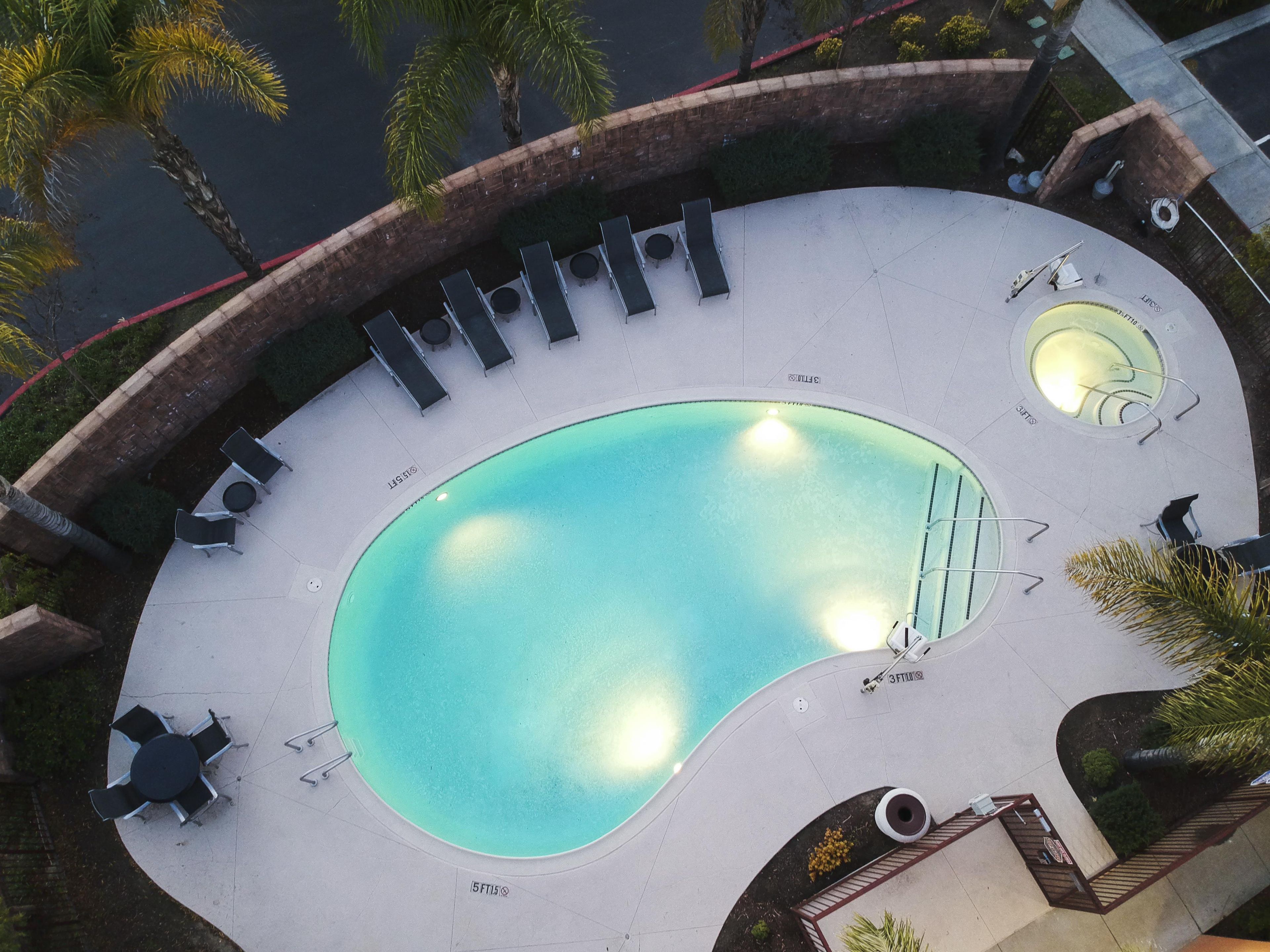 An outdoor swimming pool with lounge chairs and sunbathing areas, surrounded by palm trees and a brick wall.