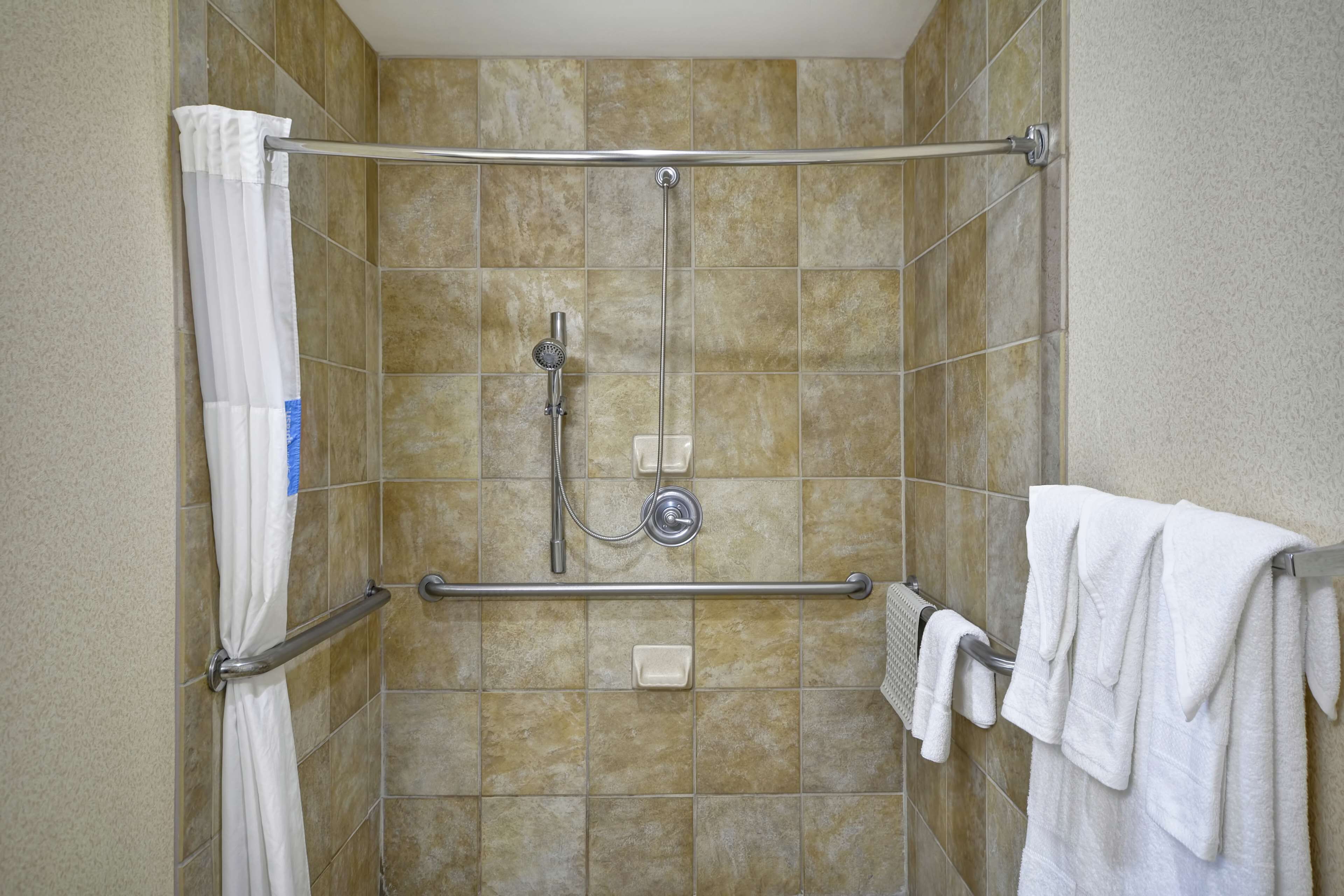 room, 1 king bed, accessible, non smoking (mobility & hearing, roll-in shower) | bathroom shower