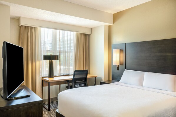 Studio, 1 Queen Bed with Sofa bed